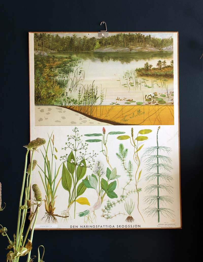 Vintage botanische De plas, 105 x 80 | Zaansch Faam Webshop